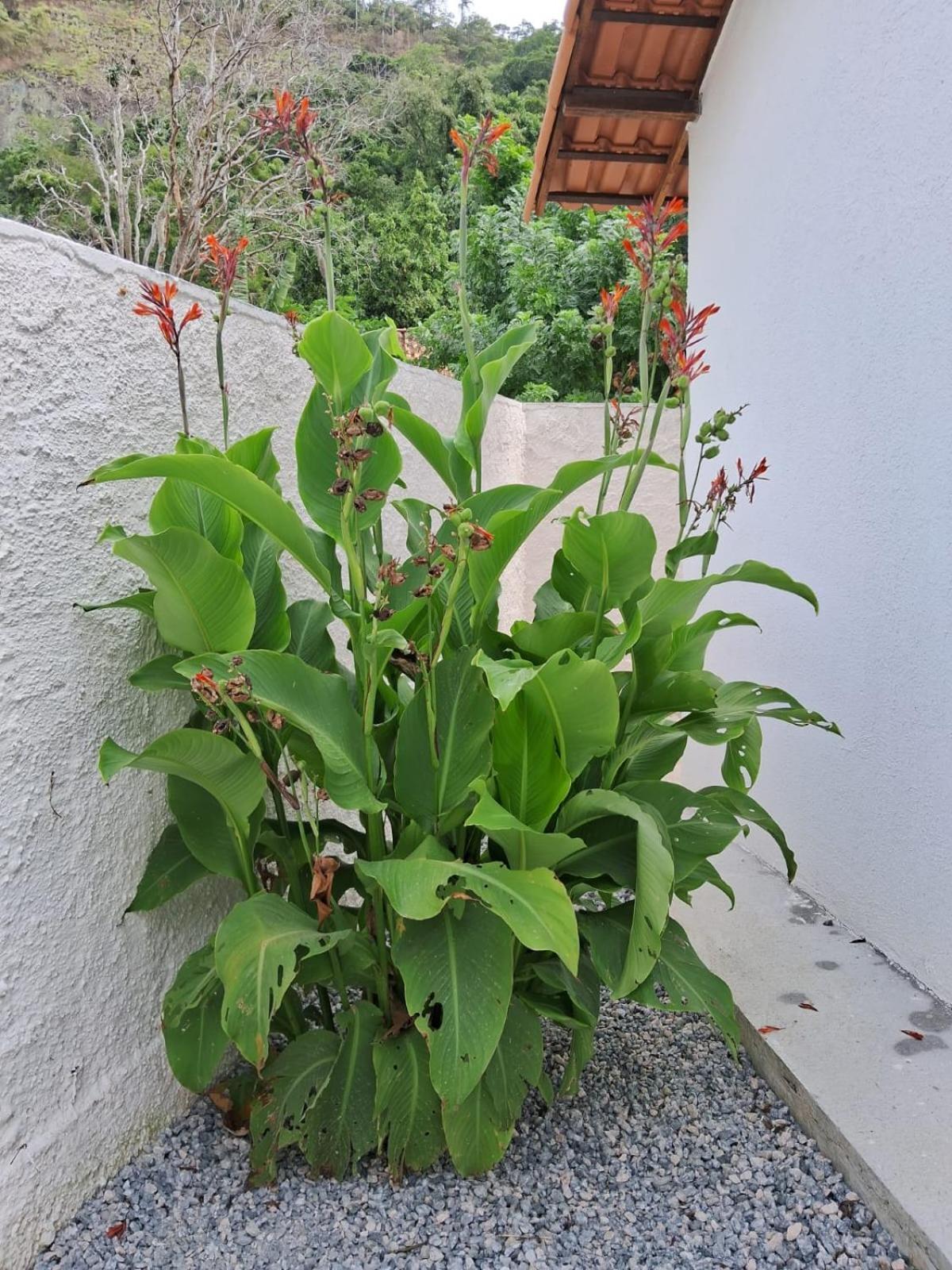 Villa Recanto Ganesha Seu Paraiso Na Praia, No Recanto De Itaipuacu Ao Lado De Itacoatiara