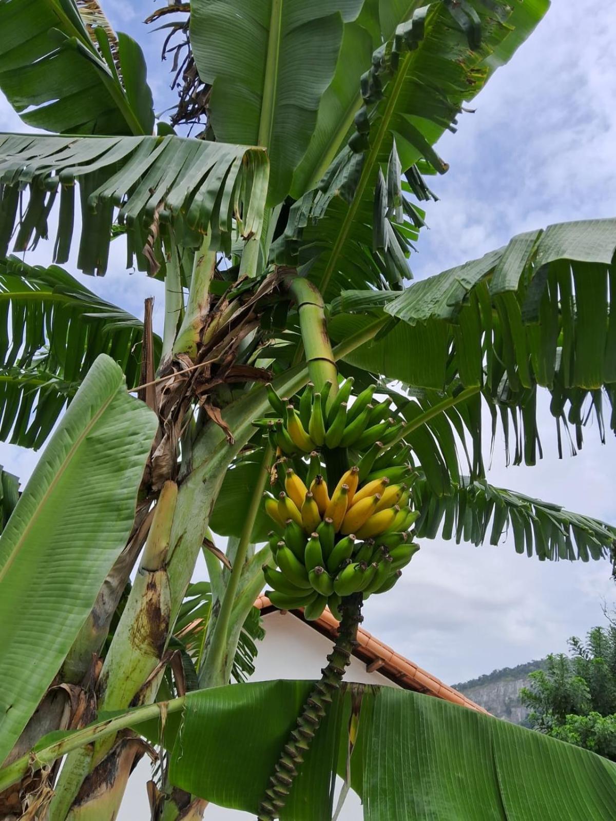 Villa Recanto Ganesha Seu Paraiso Na Praia, No Recanto De Itaipuacu Ao Lado De Itacoatiara